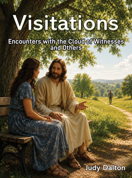 Visitations - Judy Dalton
